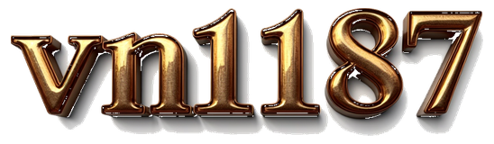 vn1187 logo